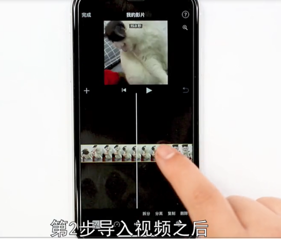 视频怎么去声音-第3张图片-图司机百科