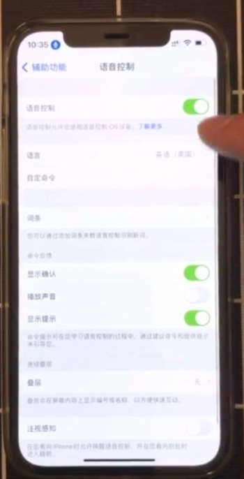 苹果手机如何语音解锁-第3张图片-图司机百科