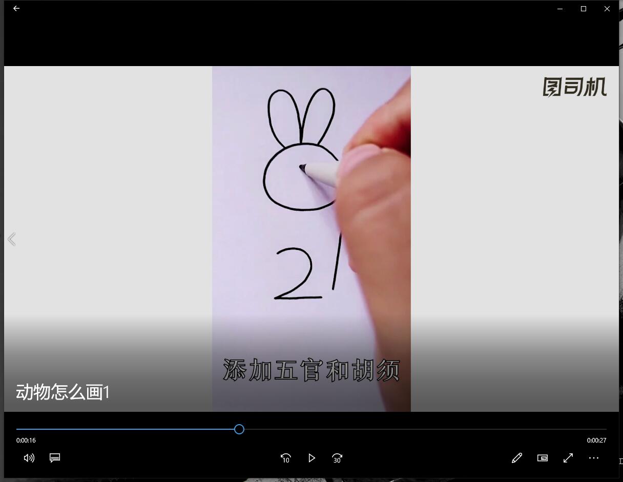 动物怎么画-第2张图片-图司机百科