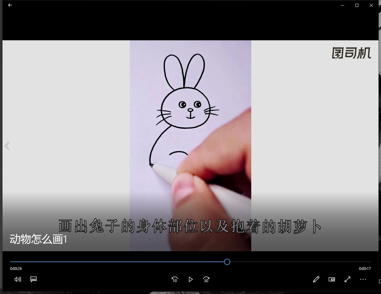 动物怎么画-第3张图片-图司机百科