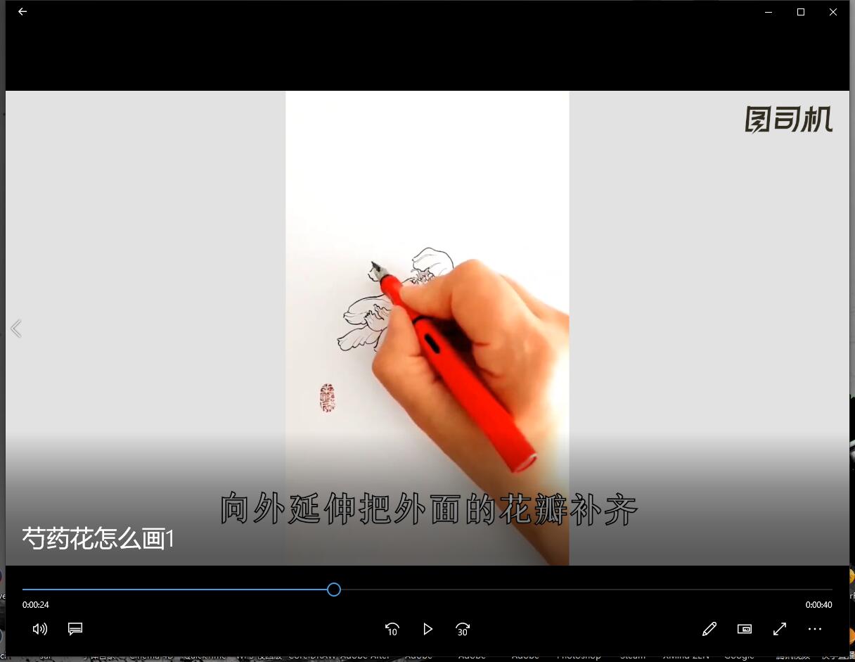芍药花怎么画-第2张图片-图司机百科