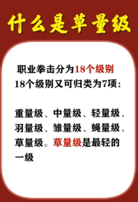 拳击比赛级别划分-第1张图片-图司机百科