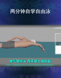 如何游泳-第4张图片-图司机百科
