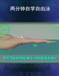 如何游泳-第3张图片-图司机百科
